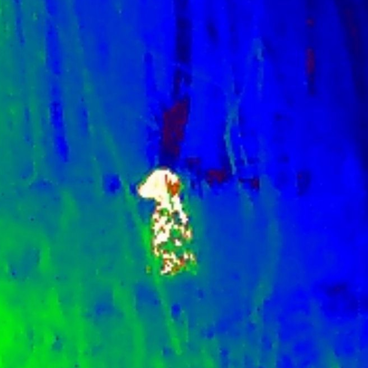 HIKMICRO EXPLORER E20 Smartphone Clip-In Thermal Imager for Android